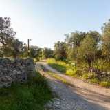 Il modo pi� veloce per arrivare al Parco � imboccare la statale 16 per poi prendere l�uscita Mola di Bari Sud. A questo punto basta proseguire per un altro chilometro prima di svoltare a sinistra su strada comunale Cipolluzze, che va percorsa per altri 2 km. Ci si ritrova cos� di fronte a un cancello verde posto all�entrata di un vialetto che conduce all�ingresso dell�oasi